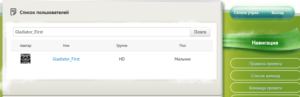 Grand-Mine.ru: Пропал скин и плащ