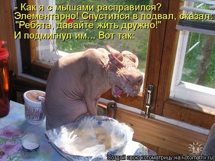 Grand-Mine.ru: Дабстеп