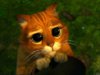 Grand-Mine.ru: Извинения