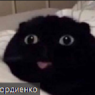 TaPoChEcK