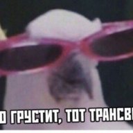 gubka_bob212