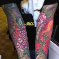 Taras