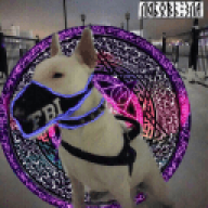 scp049