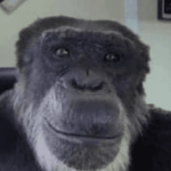 mikunlimited