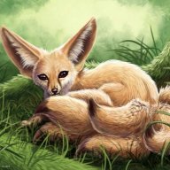FoxSilverFox