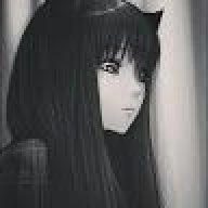 kotik_play