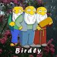 Birdly