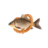 Itzkaraseeq