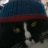swen3213