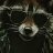 Cool_Raccoon