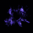 gost