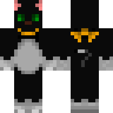 Черный кот с ошенийком