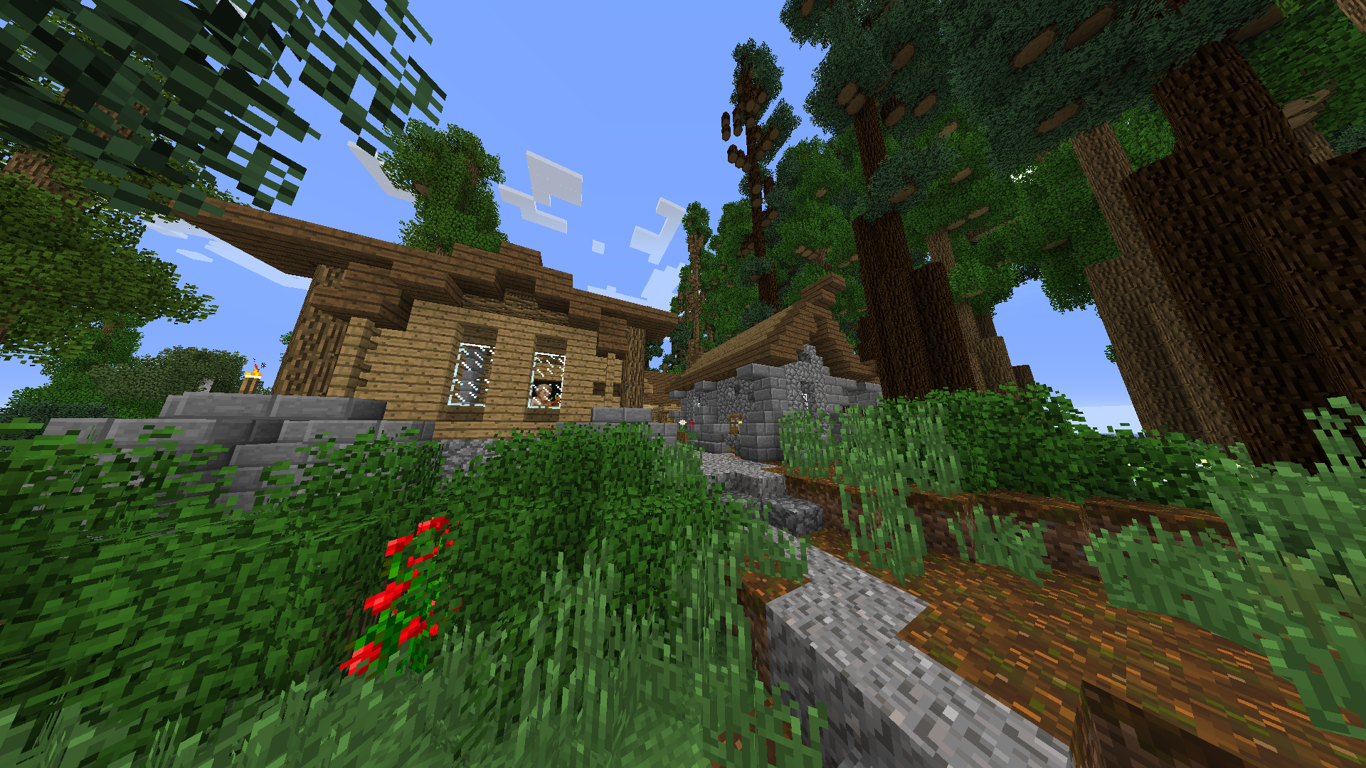 Первые дома деревни